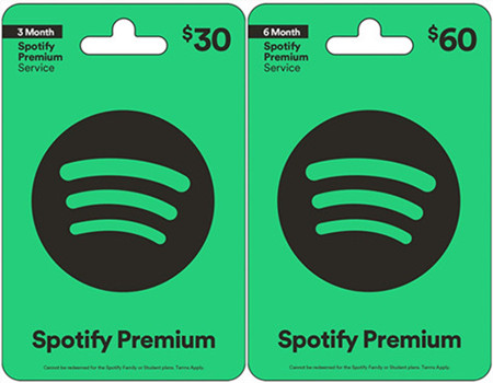 Spotify Premium Gift Card | Code from 1 month | cryptolog.fun