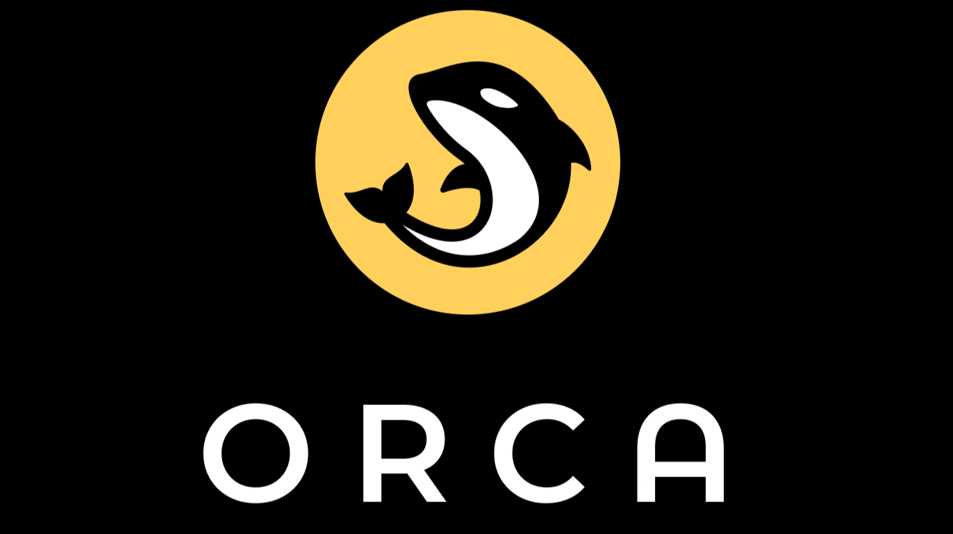 ORCA Coin: what is Orca? Crypto token analysis and Overview | cryptolog.fun