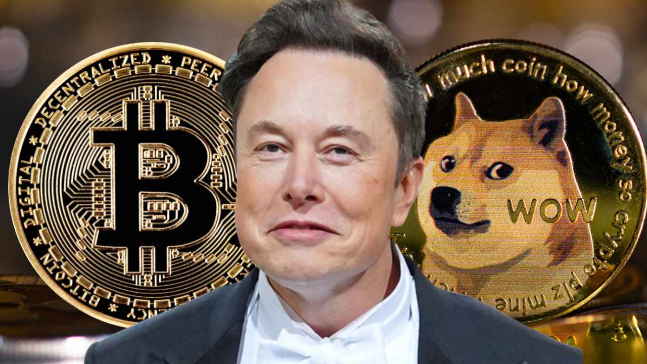 BTC to DOGE : Find Bitcoin price in Dogecoin