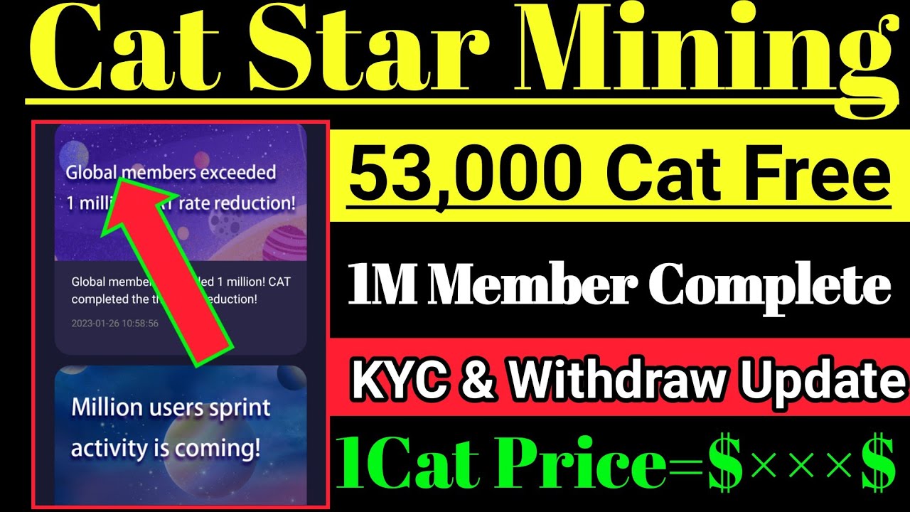 CatStar for Android - Download | Bazaar