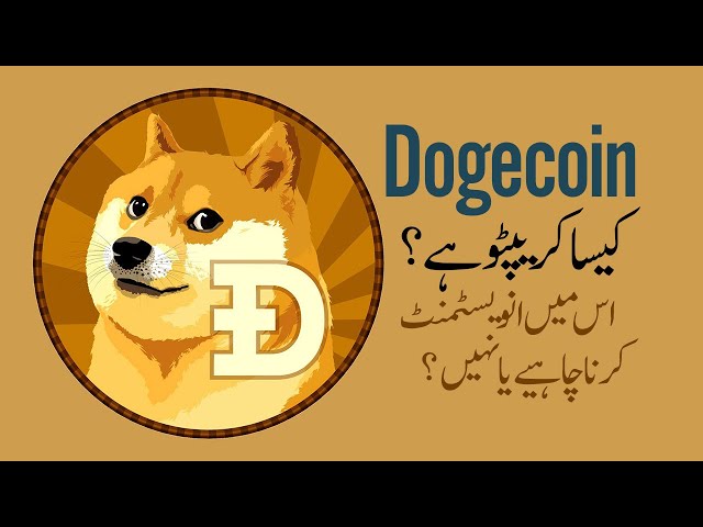 Dogecoin to PKR, USD on December 10, 