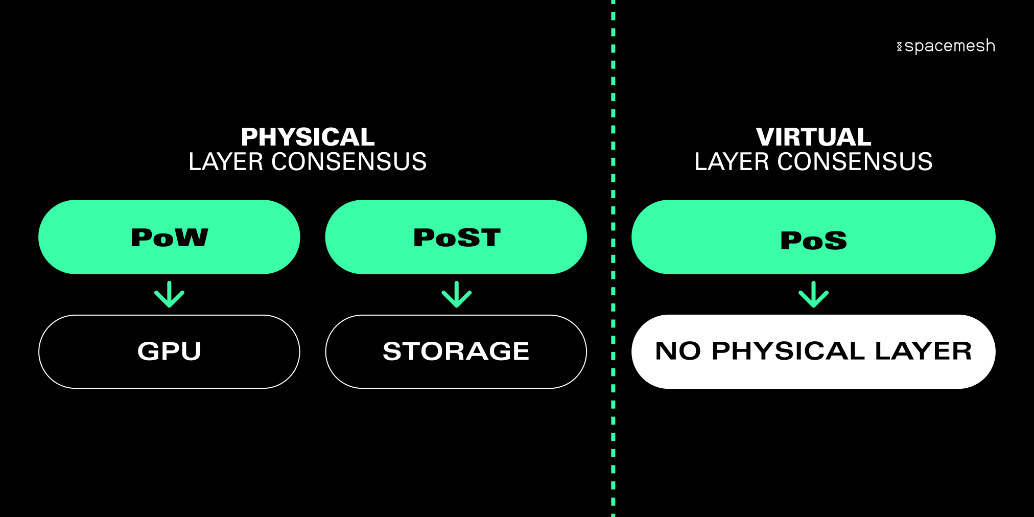 Space and Time | Verifiable Compute Layer for Web3