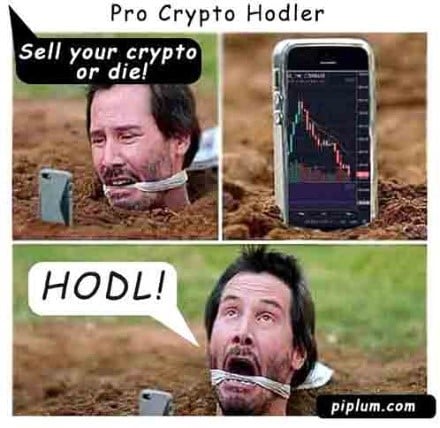 Top 30 Crypto Memes. Edition | The CryptoJobsList Blog