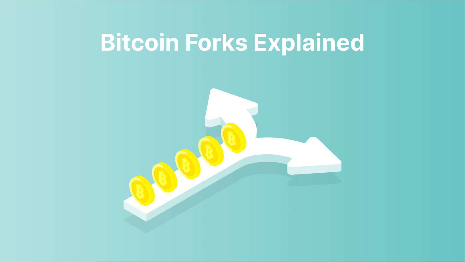 Bitcoin Forks Explained