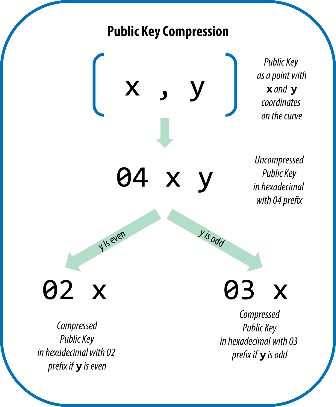 Understanding Bitcoin Public and Private Keys (3rd Edition) – Bitcoin Guides