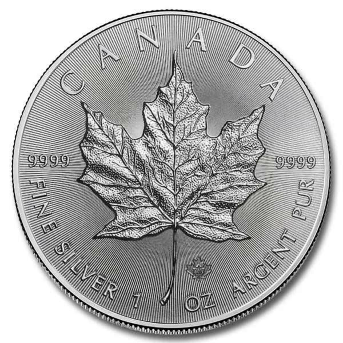 Buy Canada Silver Maple Leaf Coins Online at the Lowest Price