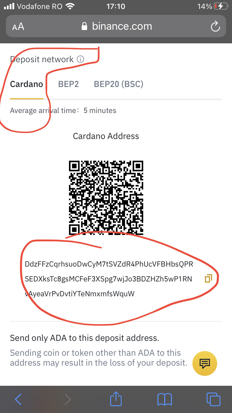 How to Buy Cardano on cryptolog.fun – Digital Currency