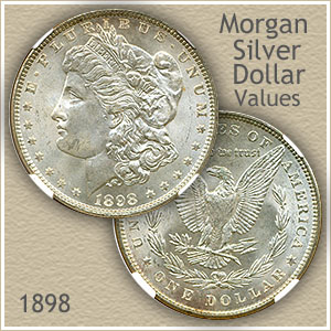 Morgan Silver Dollar Values and Prices - Past Sales | cryptolog.fun