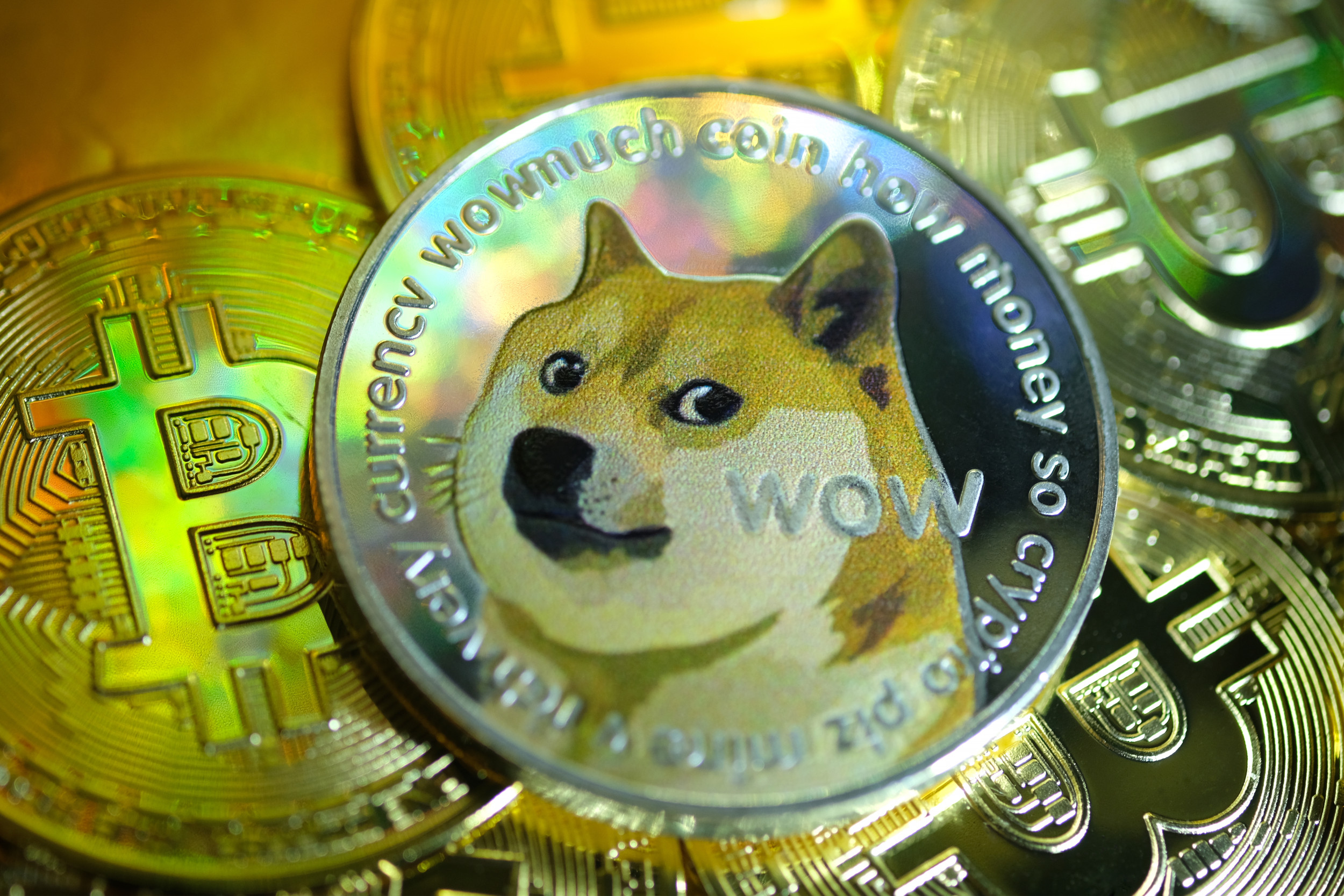 Bitcoins (BTC) to Doges (DOGE) - Currency Converter