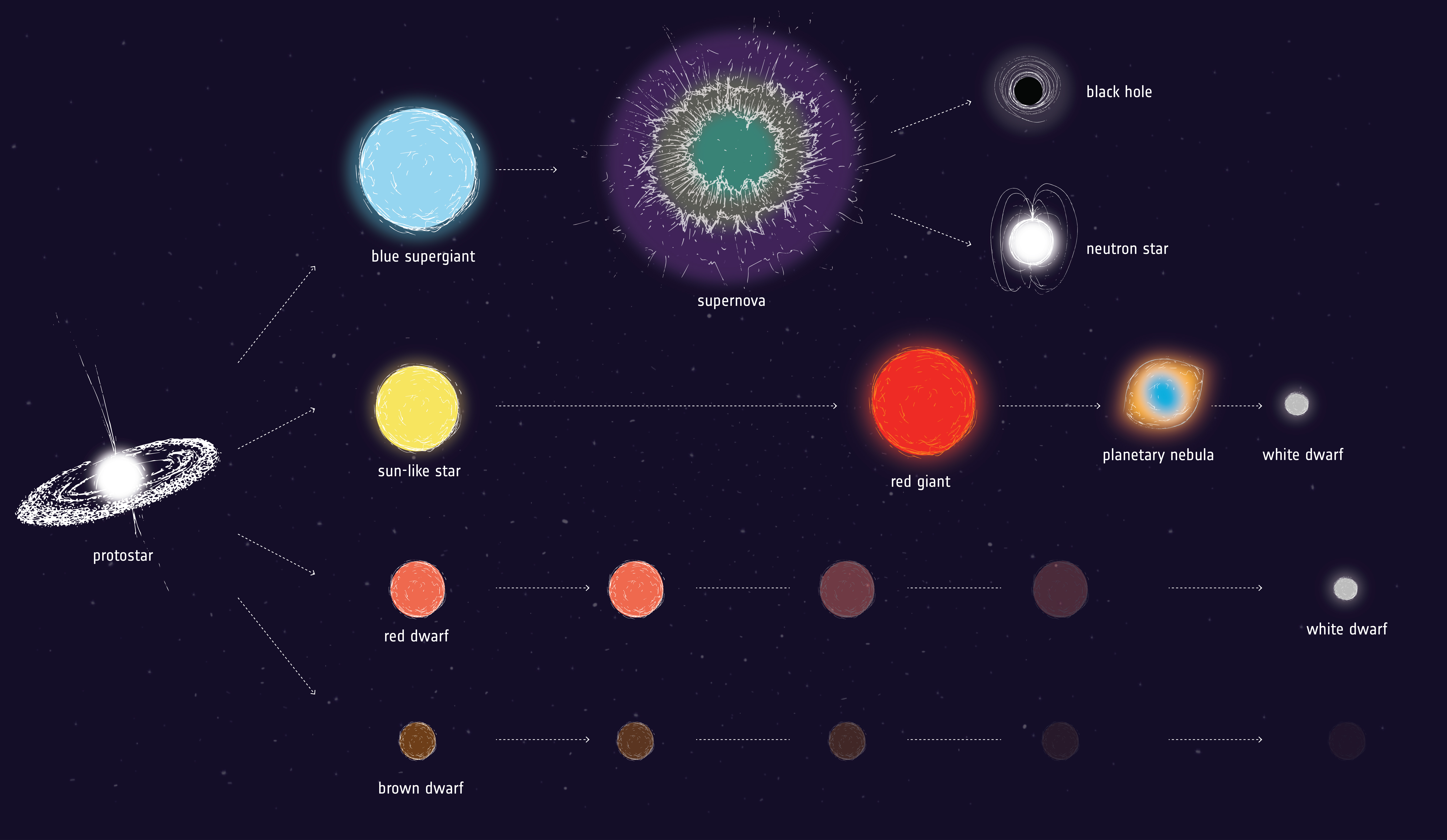 Stellar Life Cycle | Earth Science