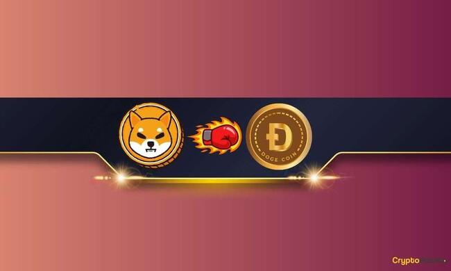 Convert 1 DOGE to BTC ‒ Real-Time Dogecoin Conversion | cryptolog.fun