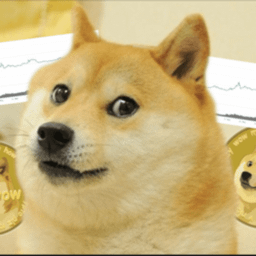 DOGE Soars %: Barred from GameStop, Reddit Investors Target DogeCoin | Finance Magnates