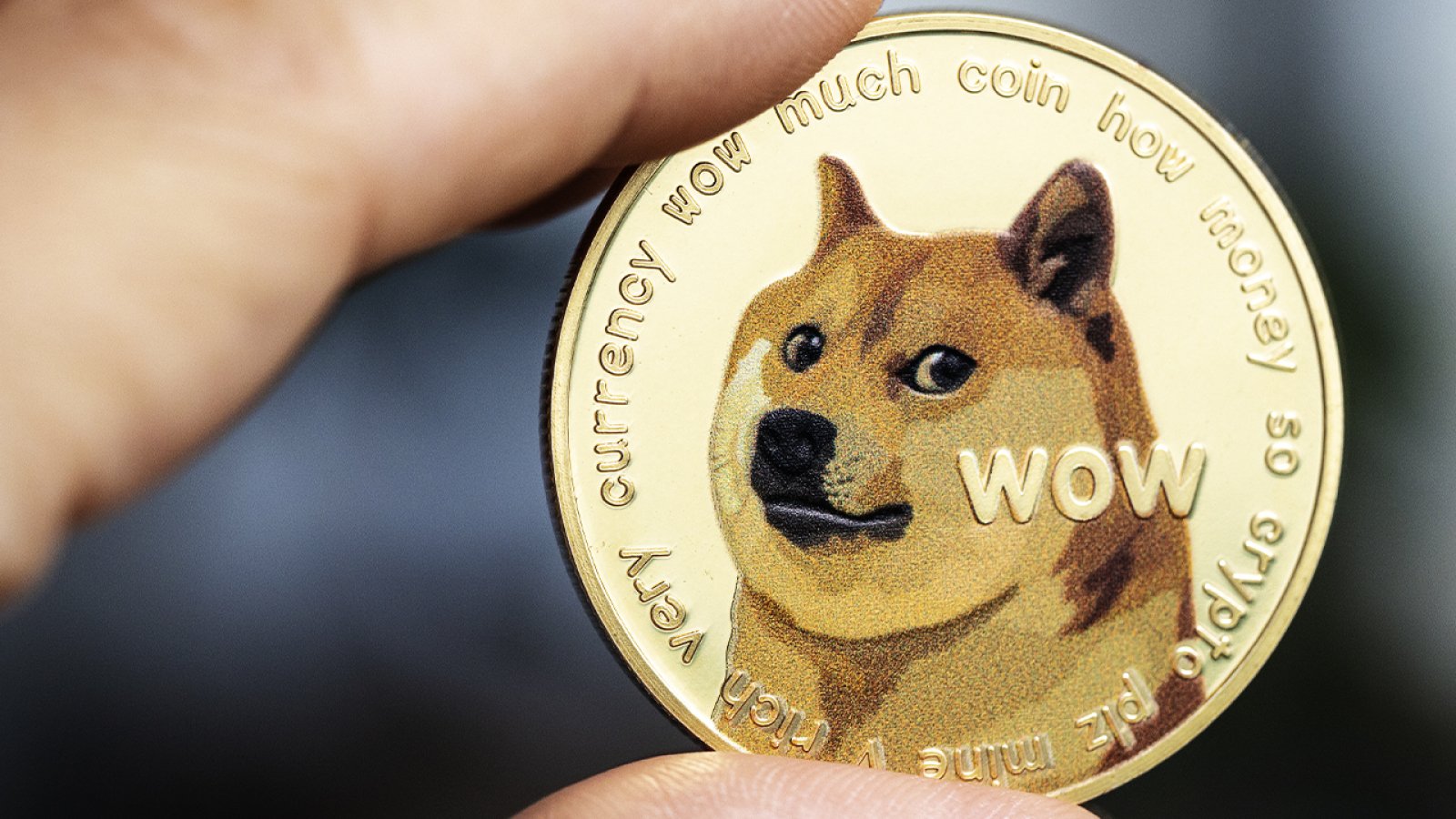 DOGE to USD - Find DOGECOIN Price in USD in India - Mudrex