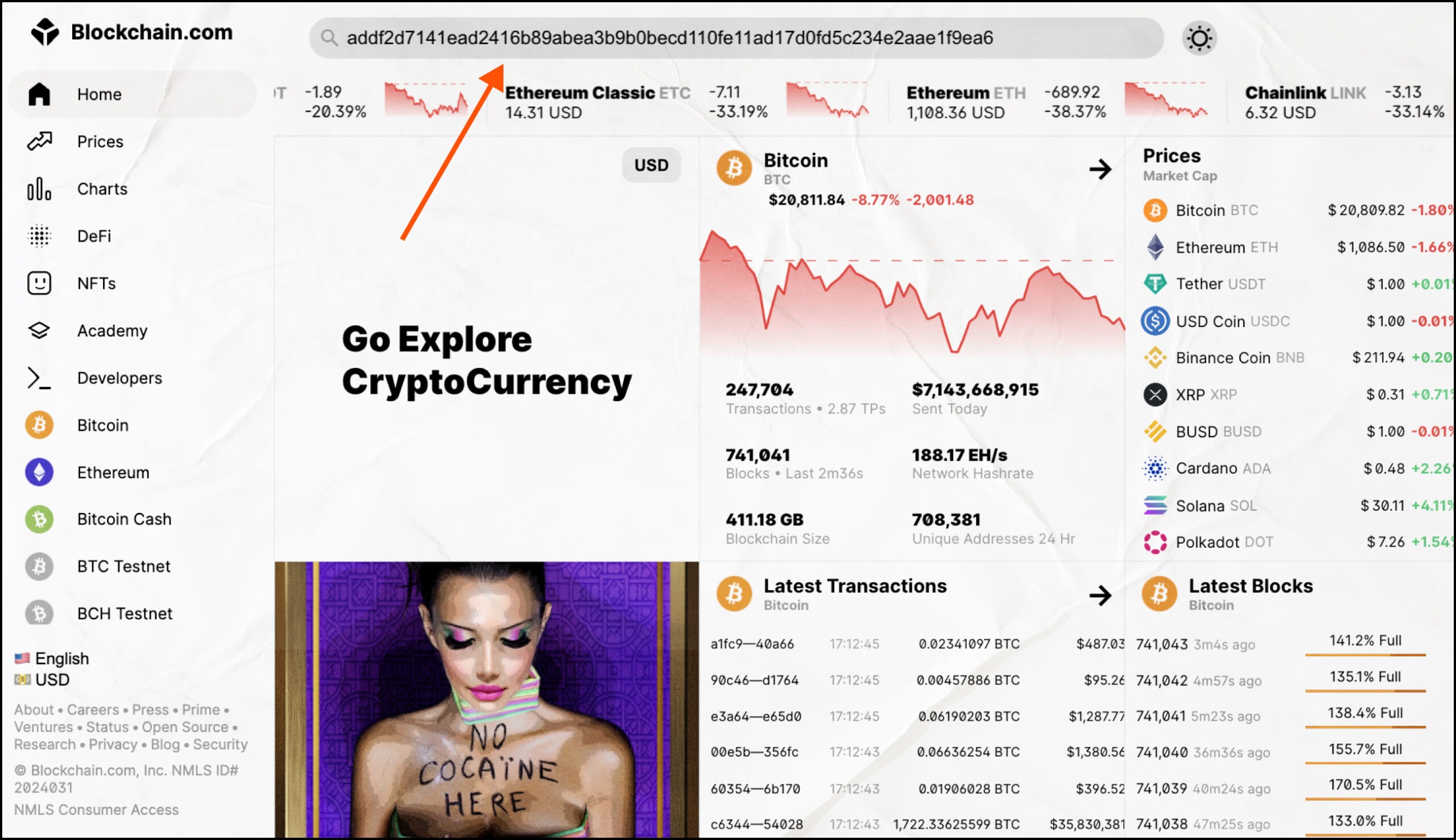 Bitcoin Explorer - cryptolog.fun