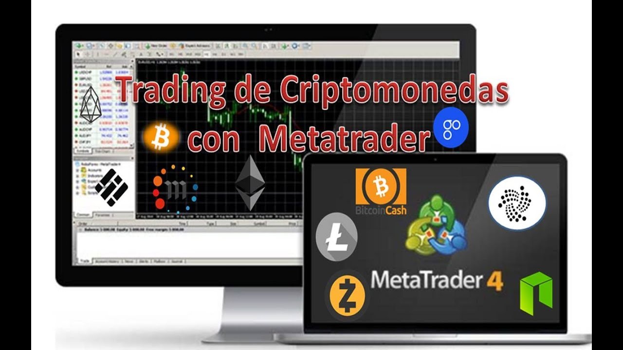 Best Crypto Trading Forex Brokers for 