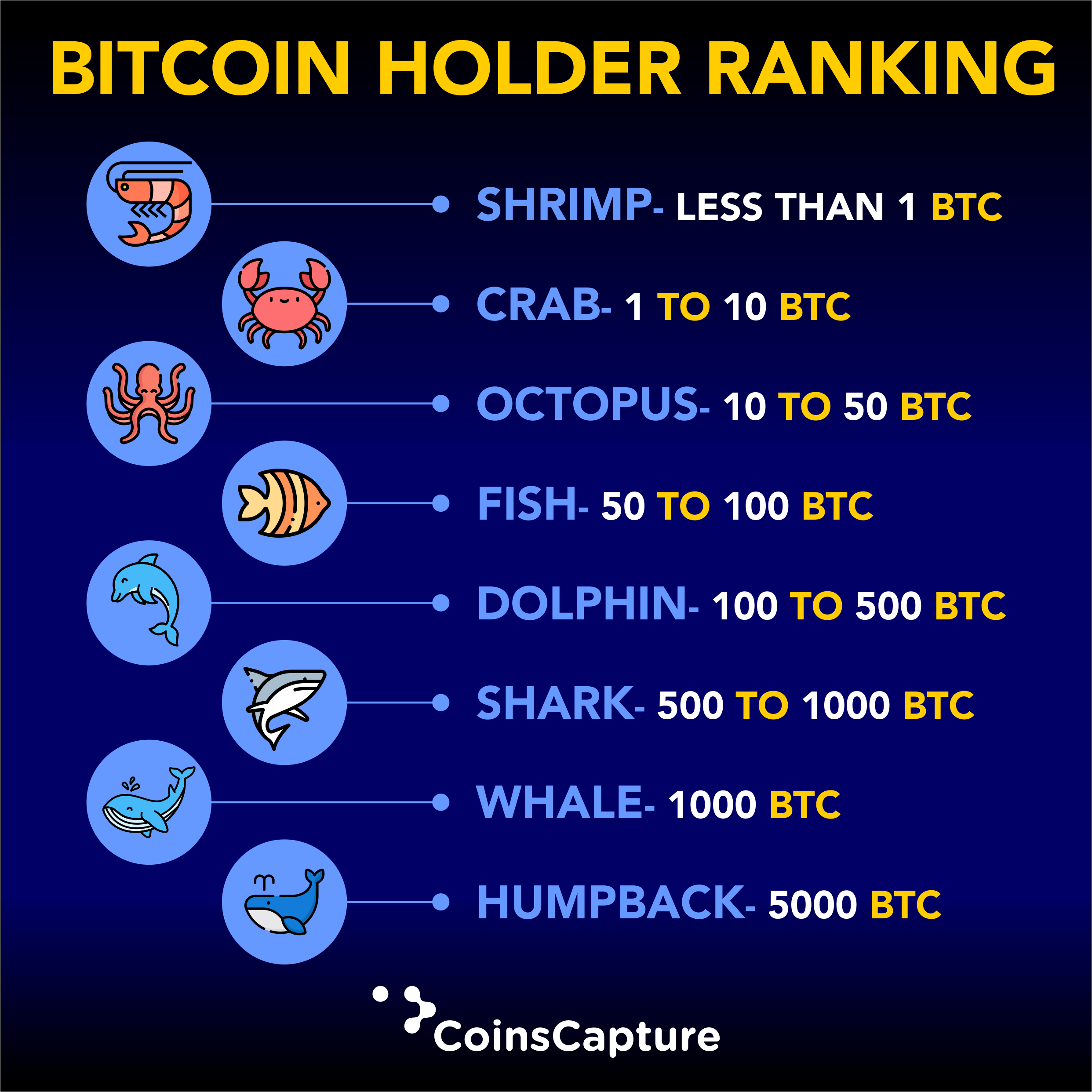 Top Bitcoin Rich Address List | CoinCarp