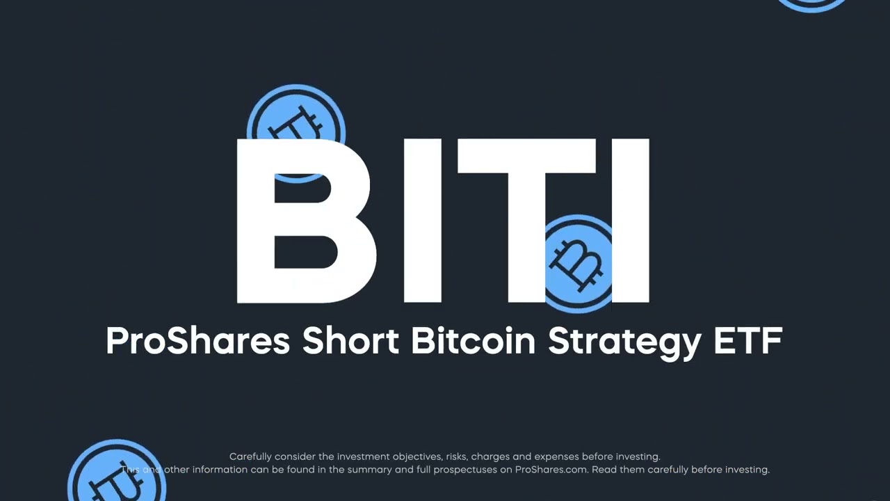 BITI ETF Guide | Stock Quote, Holdings, Fact Sheet and More