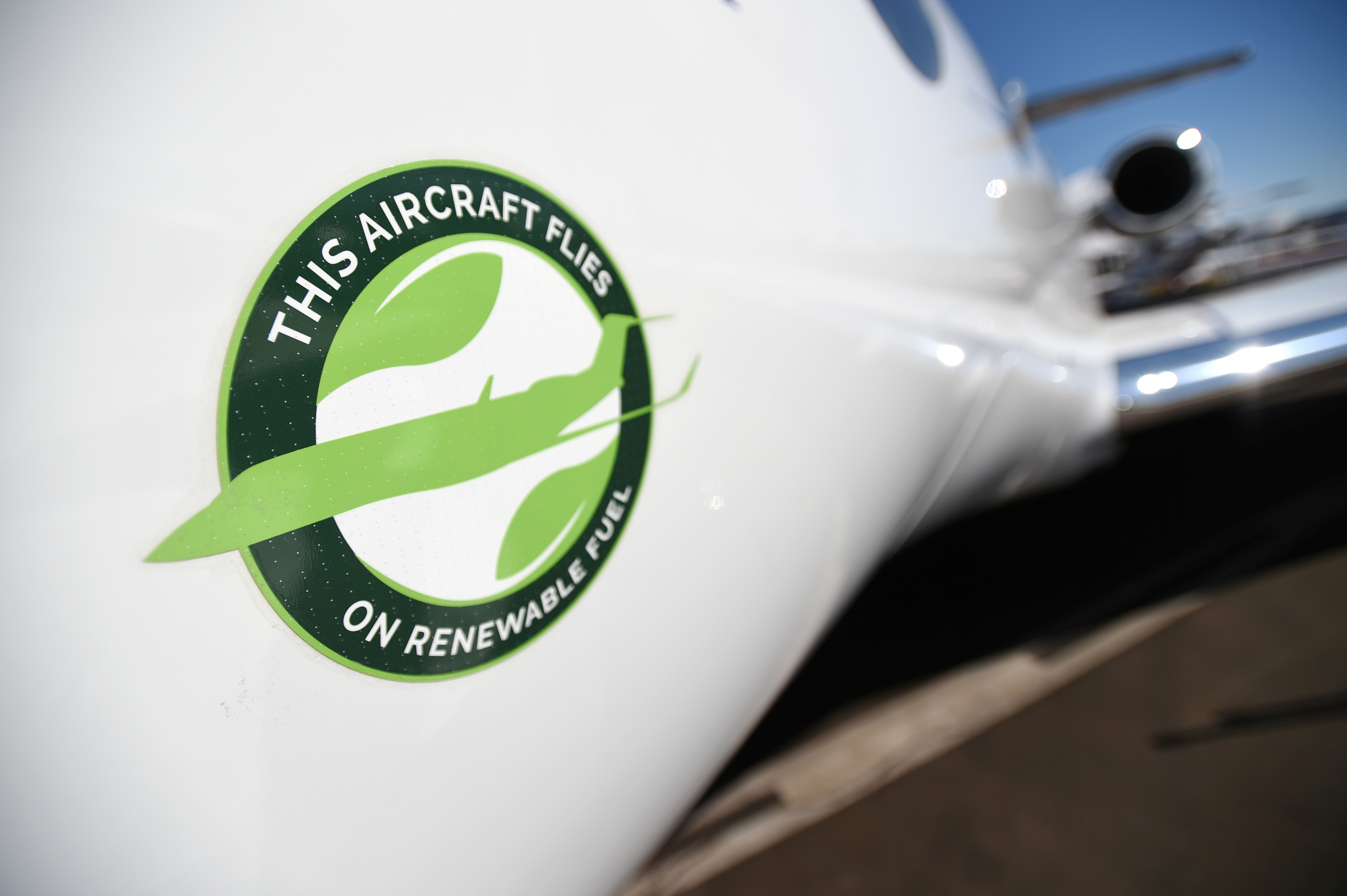 4 Sustainable Aviation Fuel Companies Leading the Way to Net-Zero Flying | cryptolog.fun