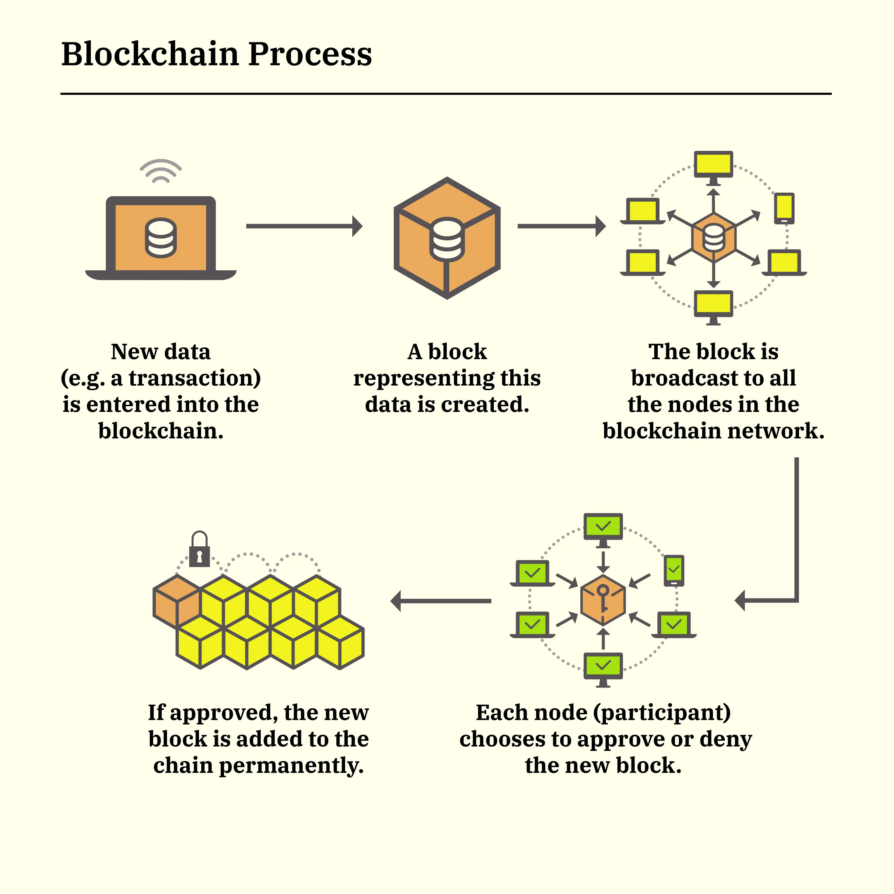 How to Create a Blockchain Wallet in ?