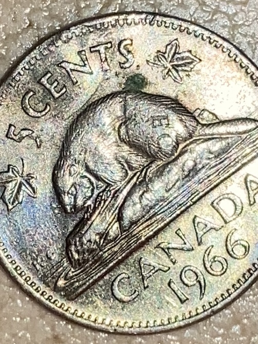 canadian penny error | Coin Talk