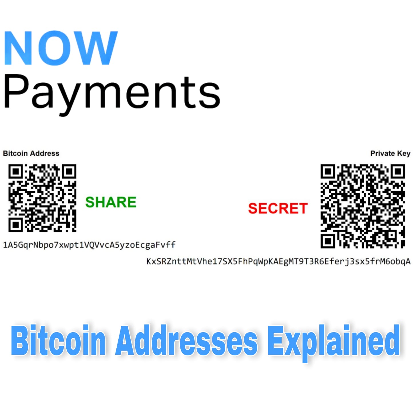What Is A Bitcoin Address & How To Get The Best One () - Athena Alpha