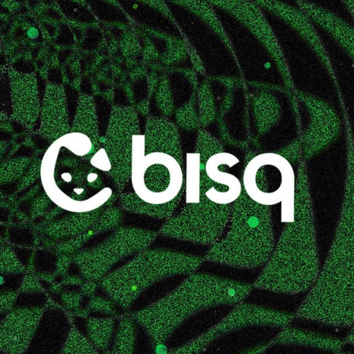 Bisq Review - DecentReviews