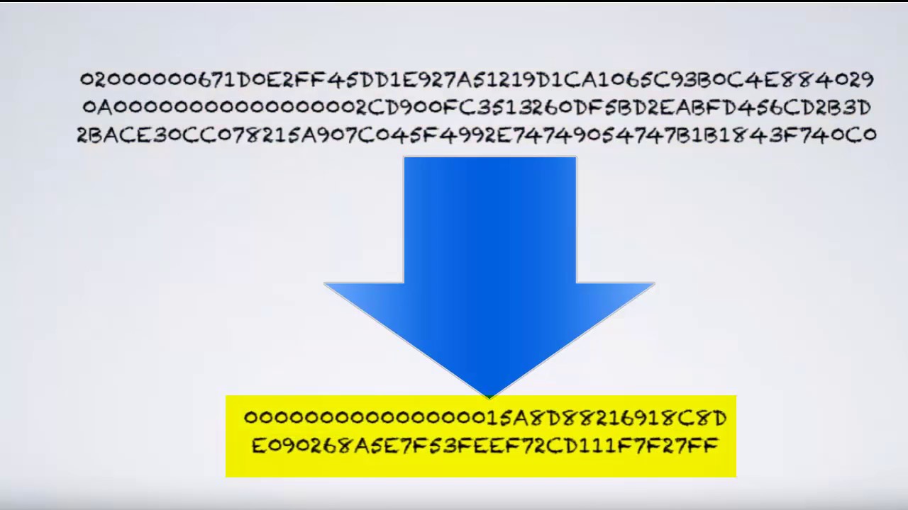 How to Calculate Bitcoin Mining Profitability | Braiins