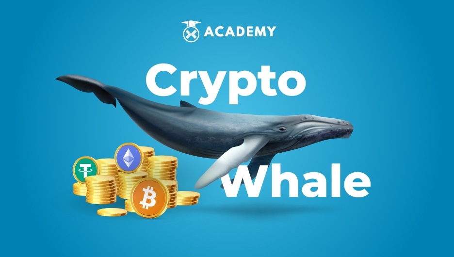 What Are Crypto Whales and Why Are They Important?