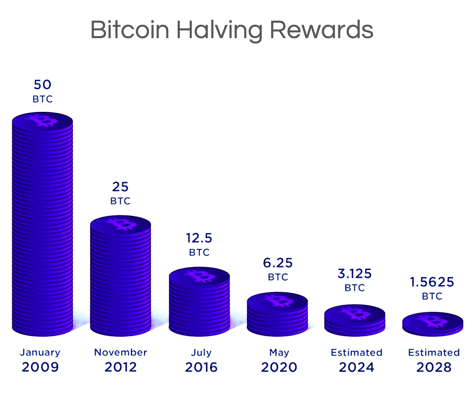 Bitcoin Halving Dates: When Is the Next BTC Halving? | CoinCodex