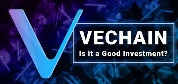 Investing in VeChain (VET) - Everything You Need to Know - cryptolog.fun