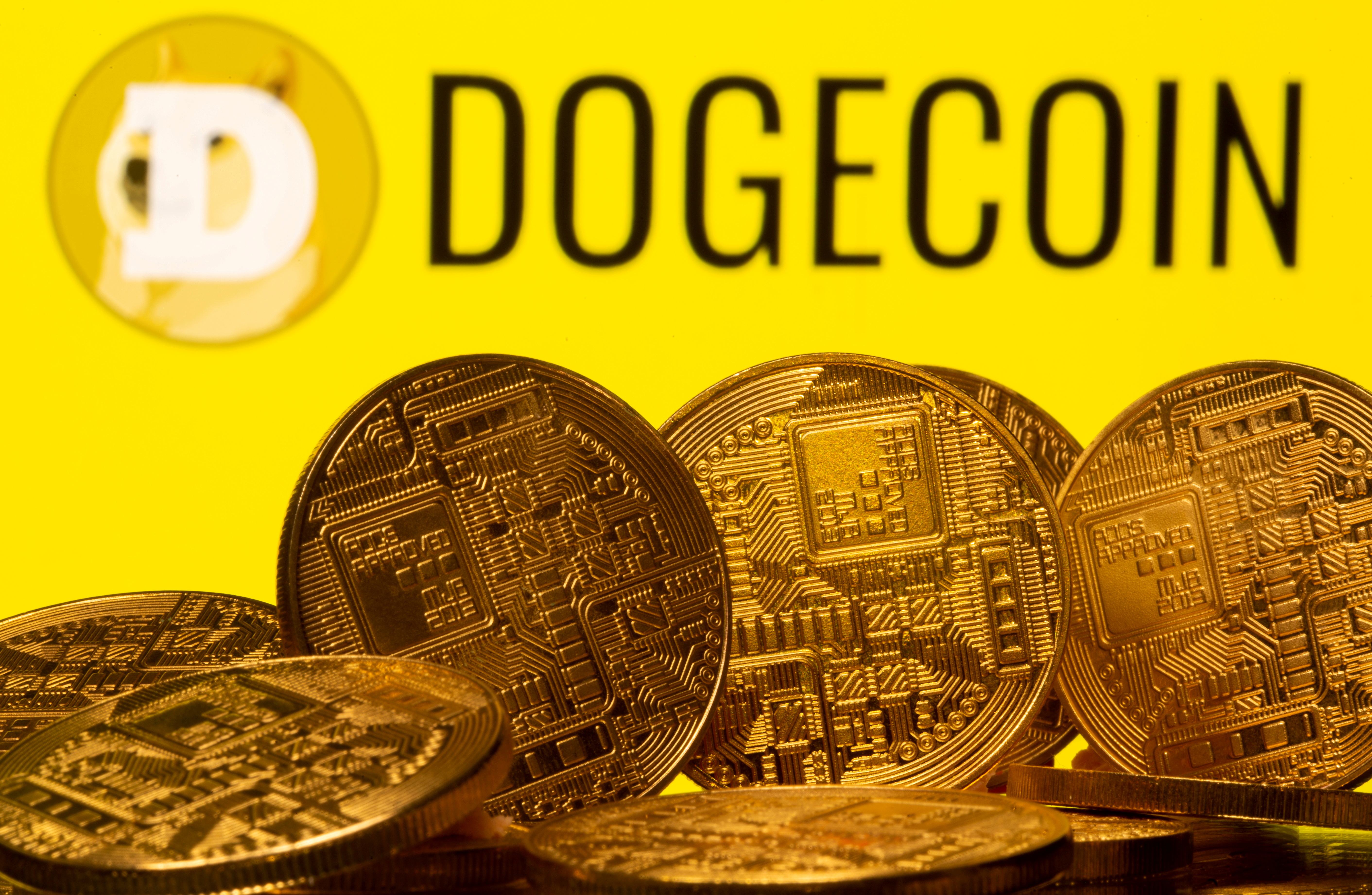 Dogecoin price live today (01 Mar ) - Why Dogecoin price is up by % today | ET Markets