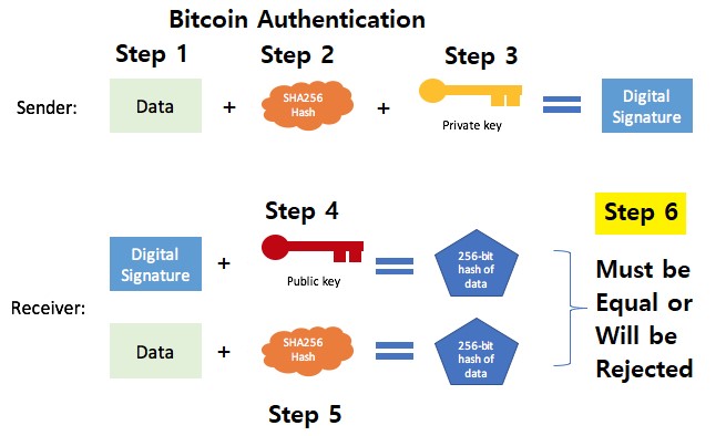 What is the Elliptic Curve Digital Signature Algorithm (ECDSA)?