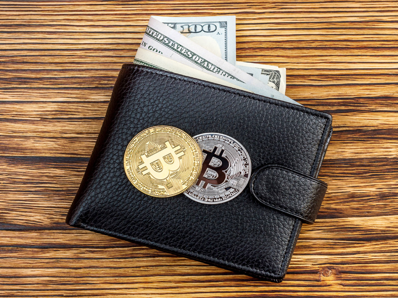 15 Best Crypto & Bitcoin Wallets of March | cryptolog.fun