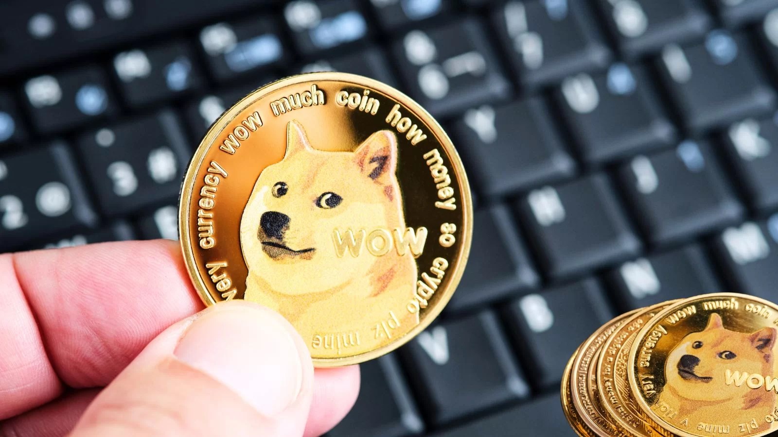 Convert 10 DOGE to USD - Dogecoin to US Dollar Converter | CoinCodex