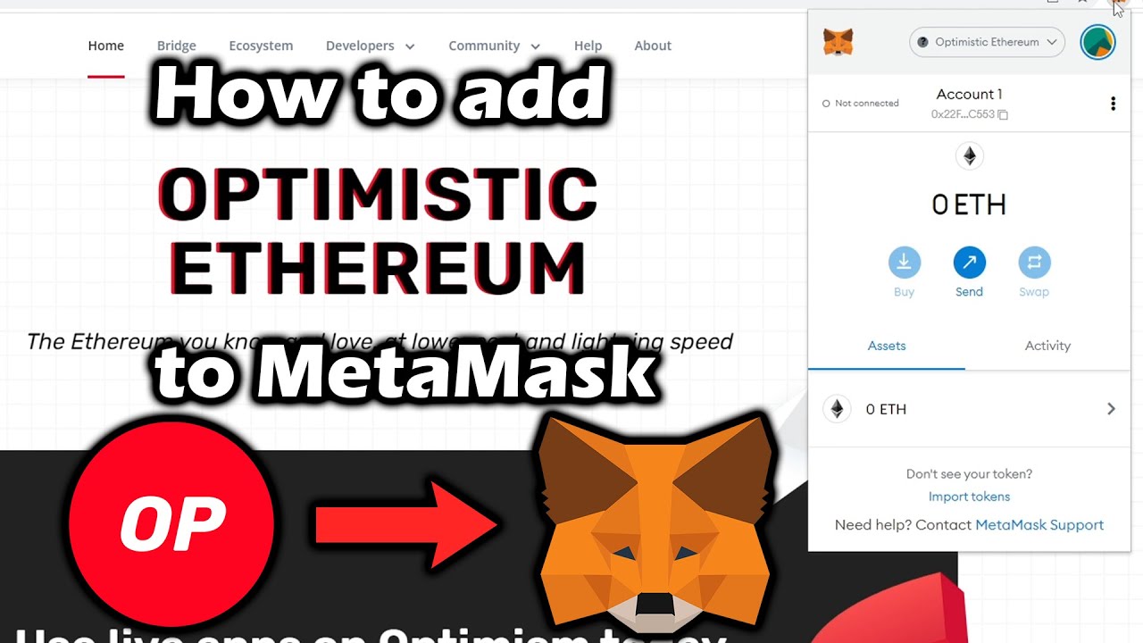 Add Optimism(ETH) to MetaMask | CoinCarp