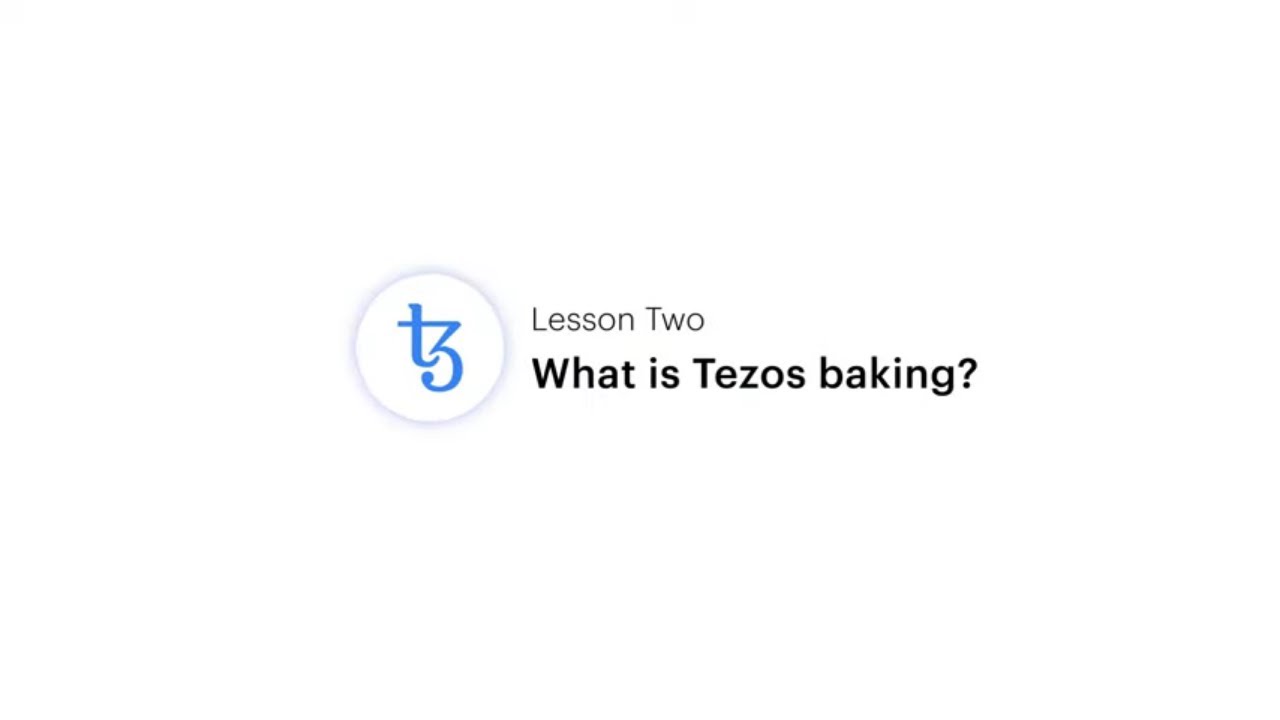 All Public Bakers in Tezos