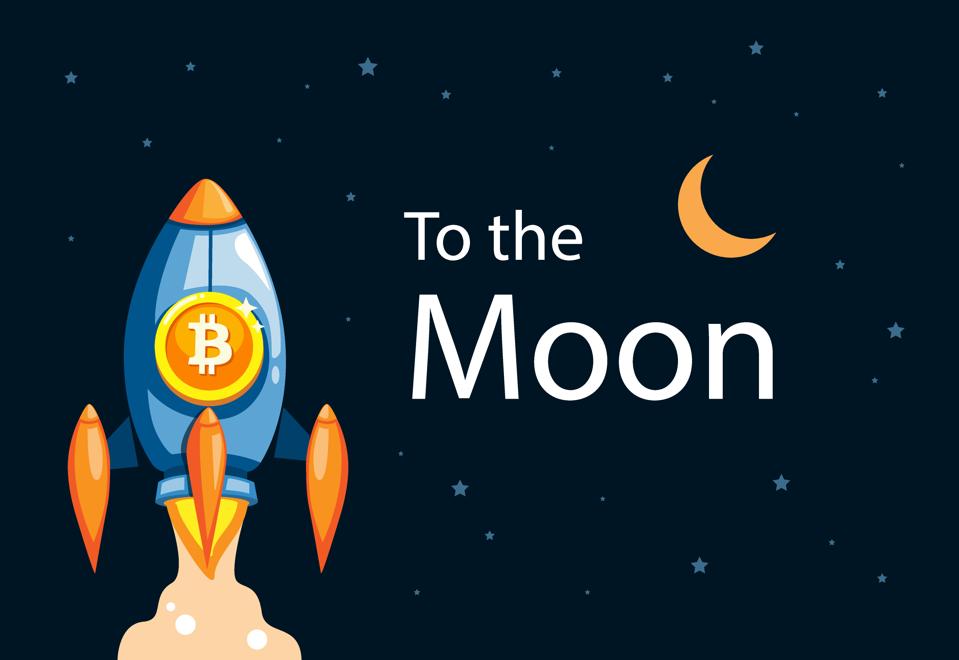 Bitcoin To The Moon Sticker - 12 Pack - Sticker - Merchandise - cryptolog.fun