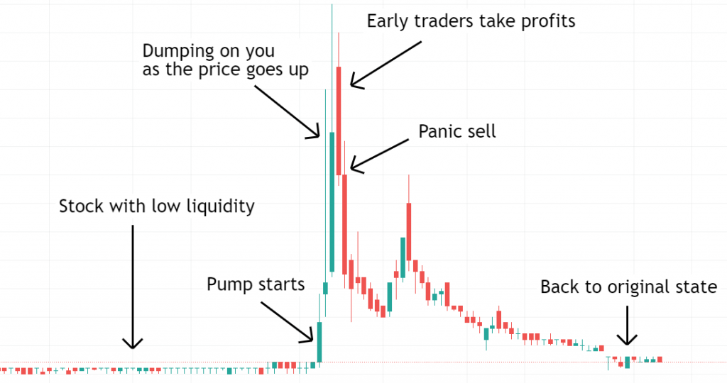 What are Crypto Pump and Dump Scams and How Can You Spot Them?