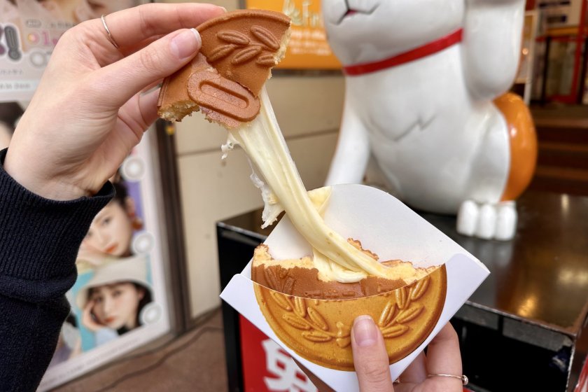 Exploring Osaka's Japanese Street Food through Dotonbori and More - Osaka, Japan - DESKRIB