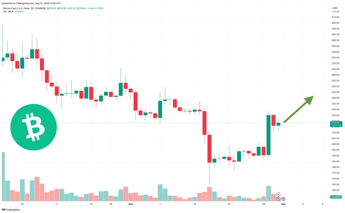 Bitcoin Cash is Predicted to Reach $ By Mar 12, | CoinCodex