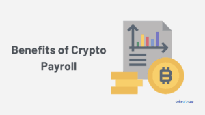 Crypto payroll: The complete guide for global businesses | BVNK Blog