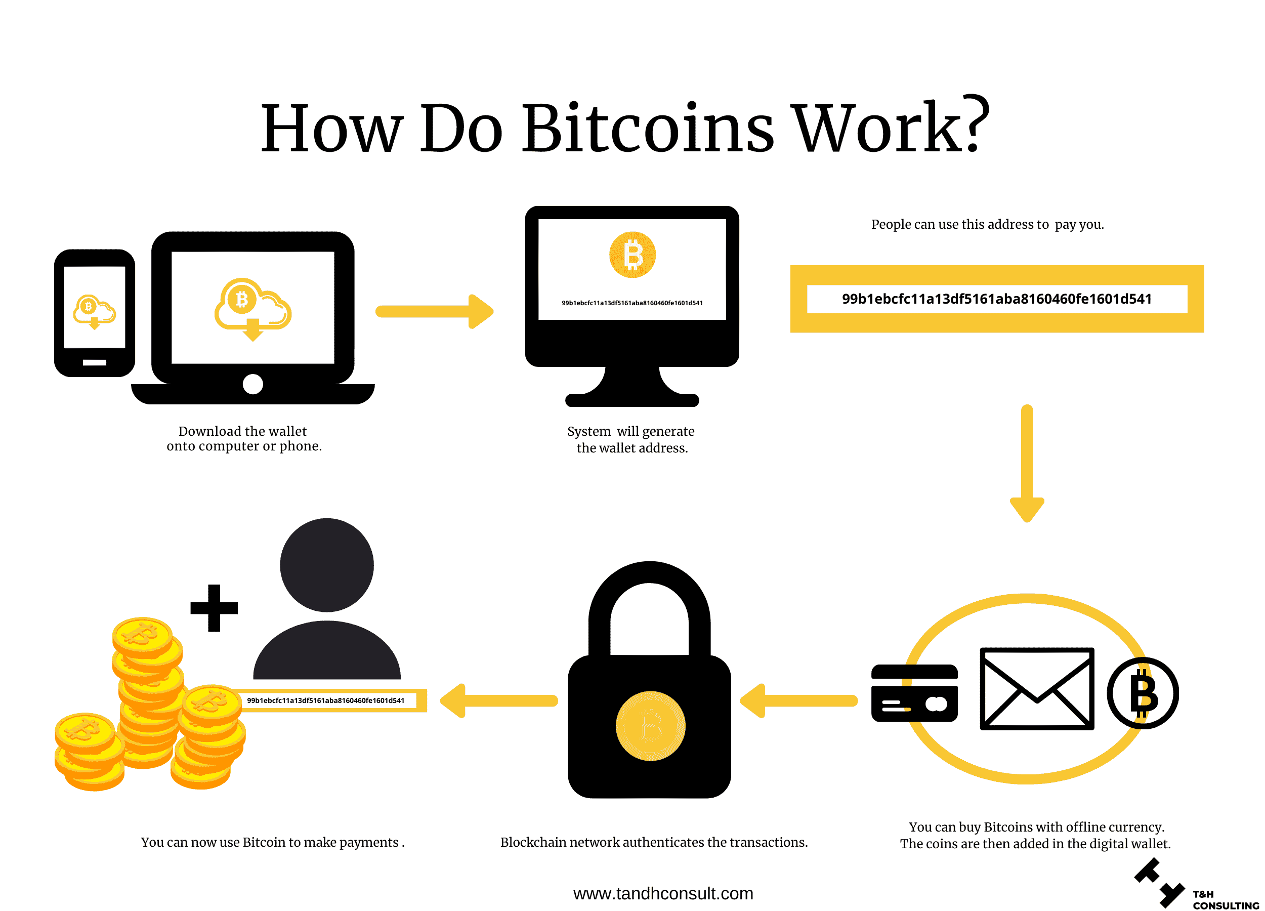 Bitcoin for Dummies: How Does BTC Work? | Gemini