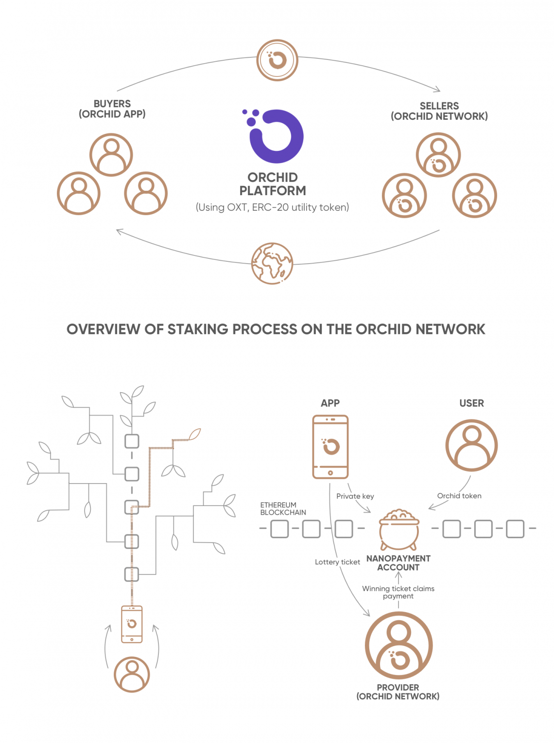 Orchid (OXT) Price Prediction , , , , and • cryptolog.fun