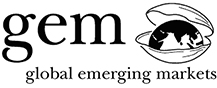 Portfolio The Global Emerging Markets Group (GEM) - Investment Fund | cryptolog.fun