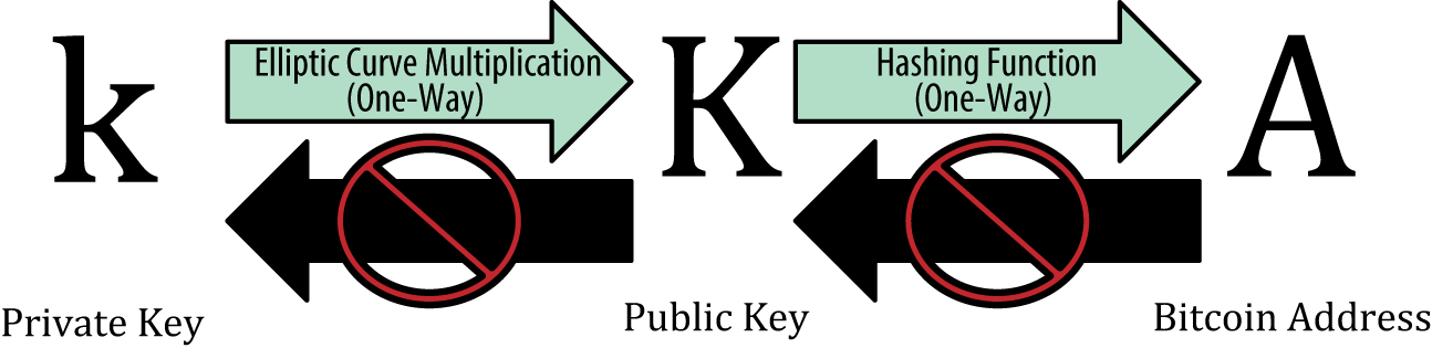 Public Key: Unveiling the Power of Public Keys in Bitcoin Transactions - FasterCapital