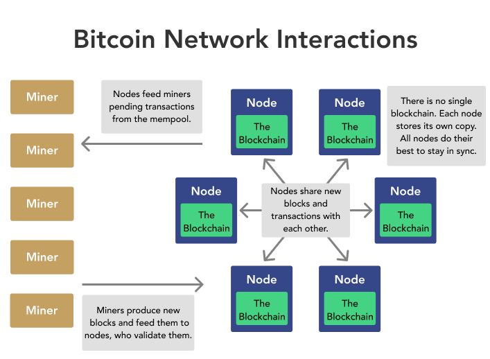 What Data Does the Bitcoin Blockchain Store?