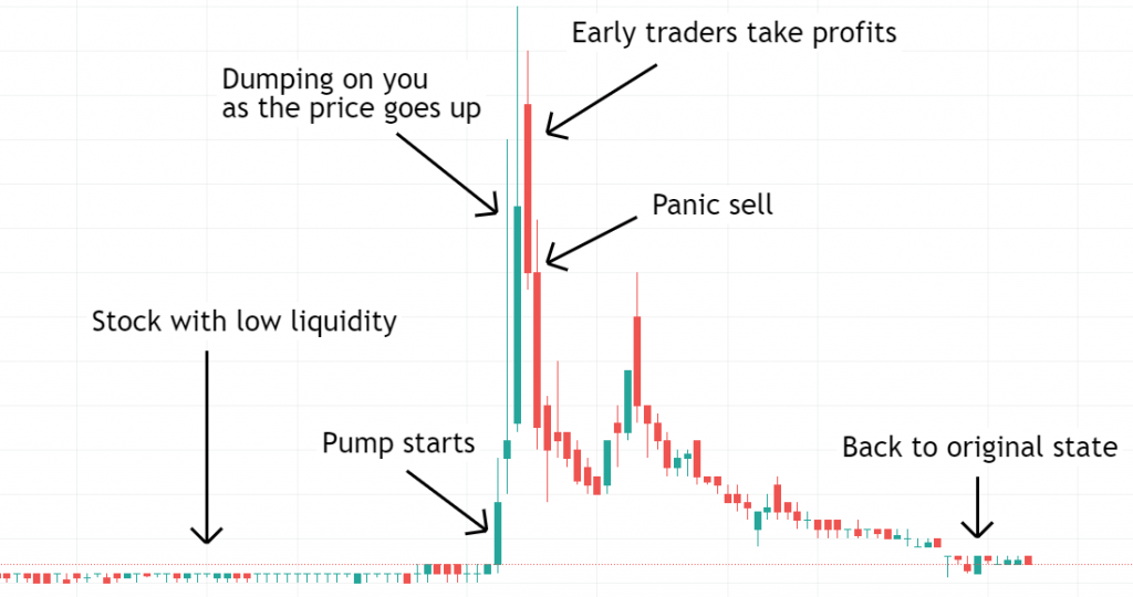 What Is a Pump and Dump? | Ledger
