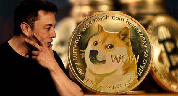 Is Dogecoin a Good Investment? 5 Reasons to Buy DOGE