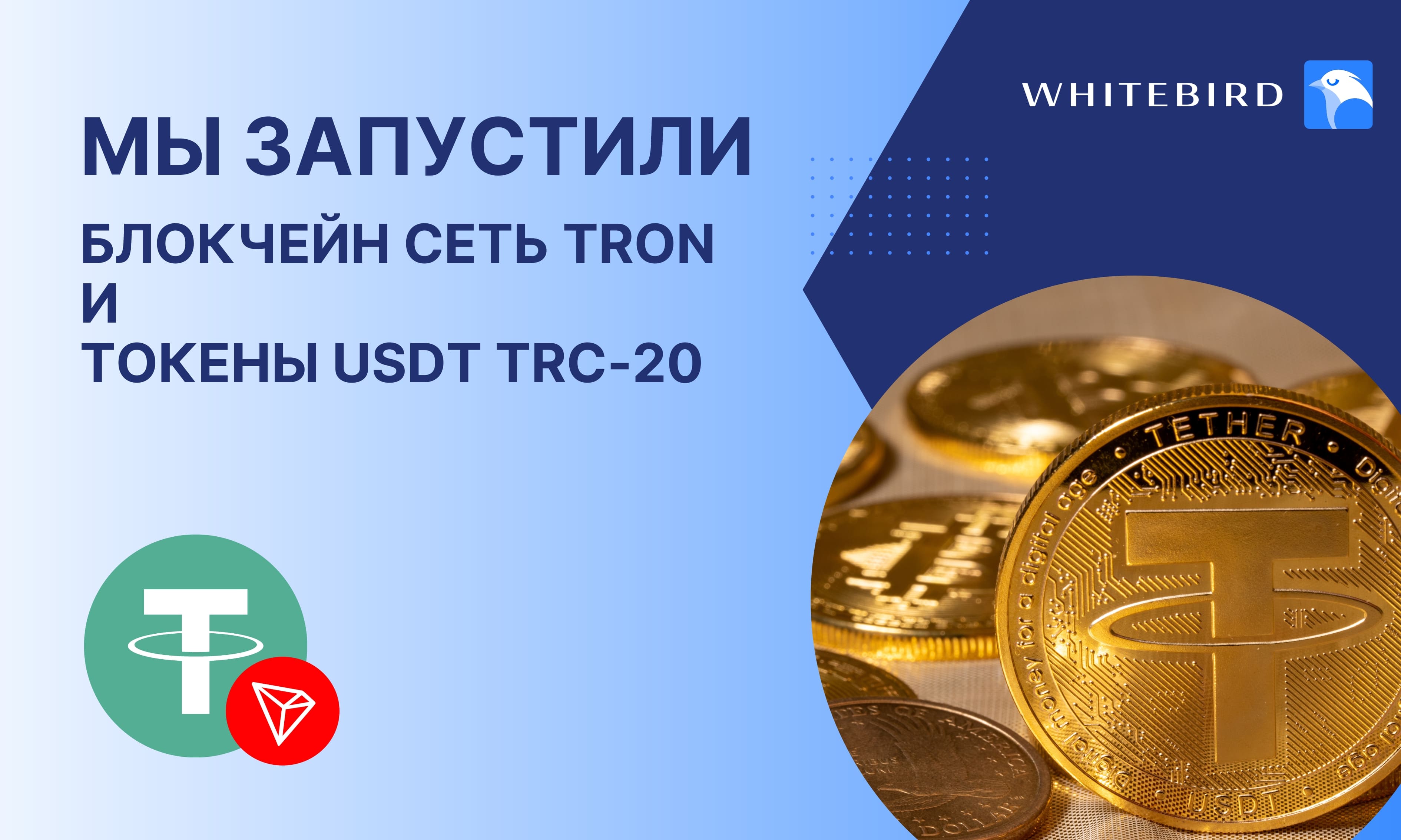 How to Buy TRON (TRX) Guide - MEXC