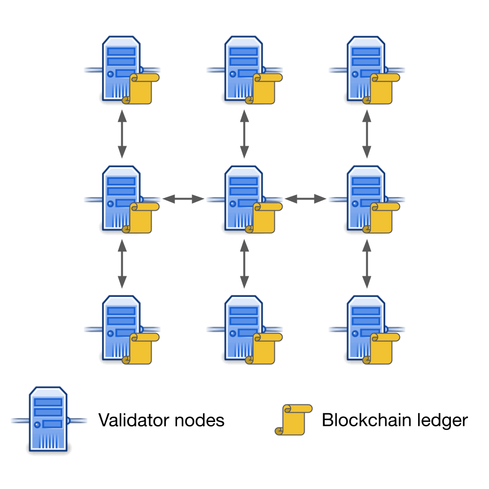 What is Blockchain Validator? | Shardeum